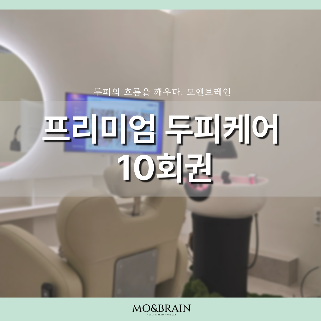 모앤브레인 프리미엄 두피케어 10회권