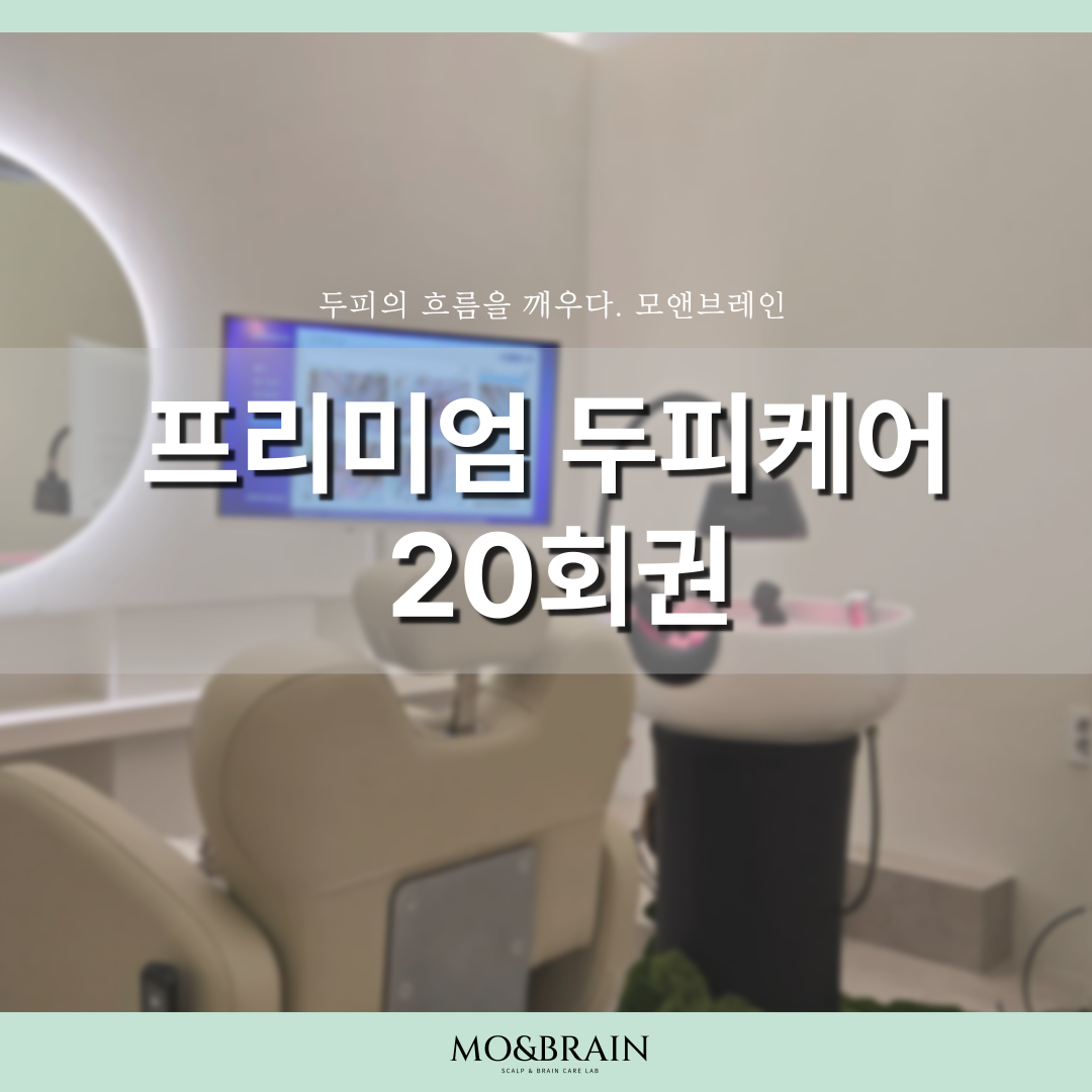 모앤브레인 프리미엄 두피케어 20회권