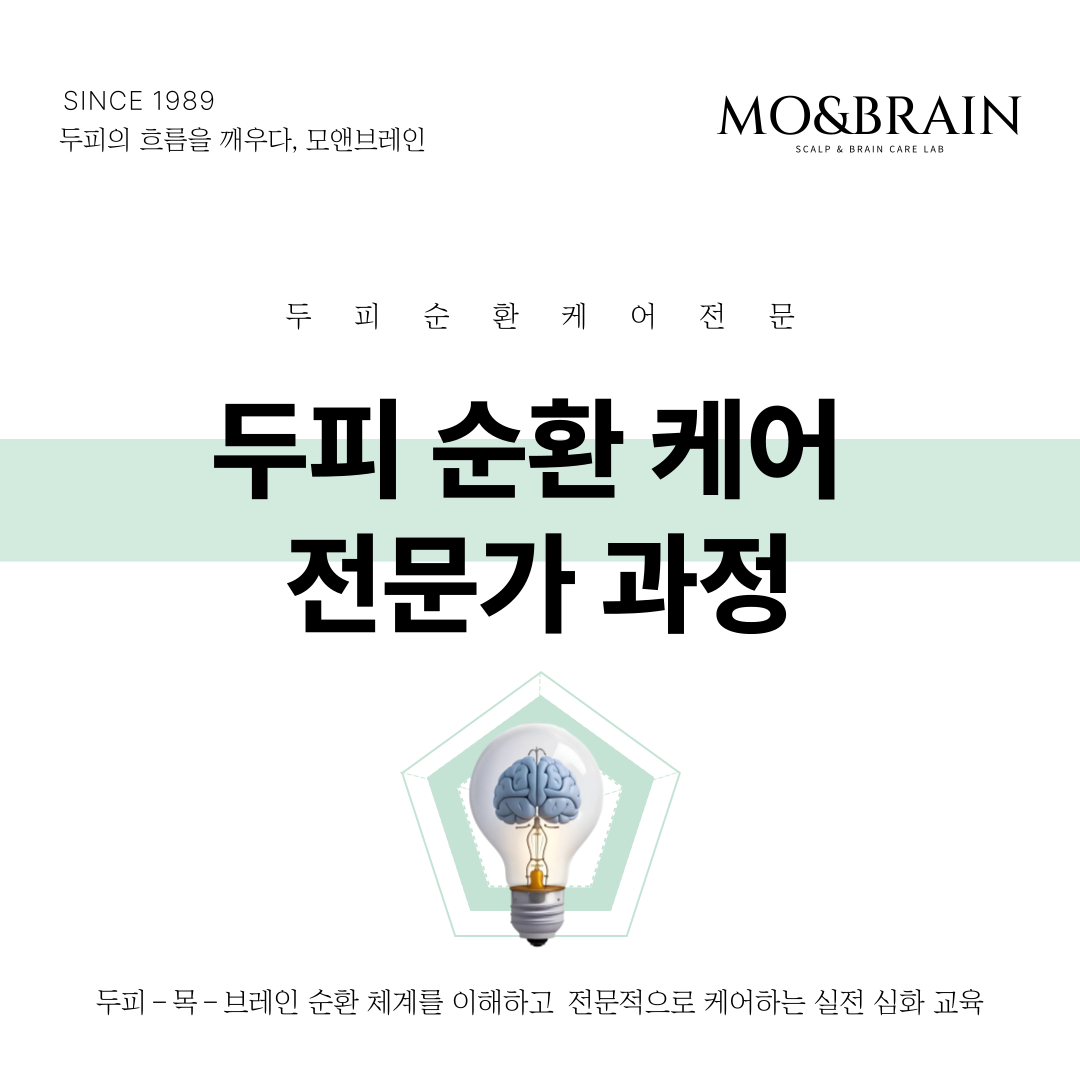 두피 순환 케어 전문가 과정